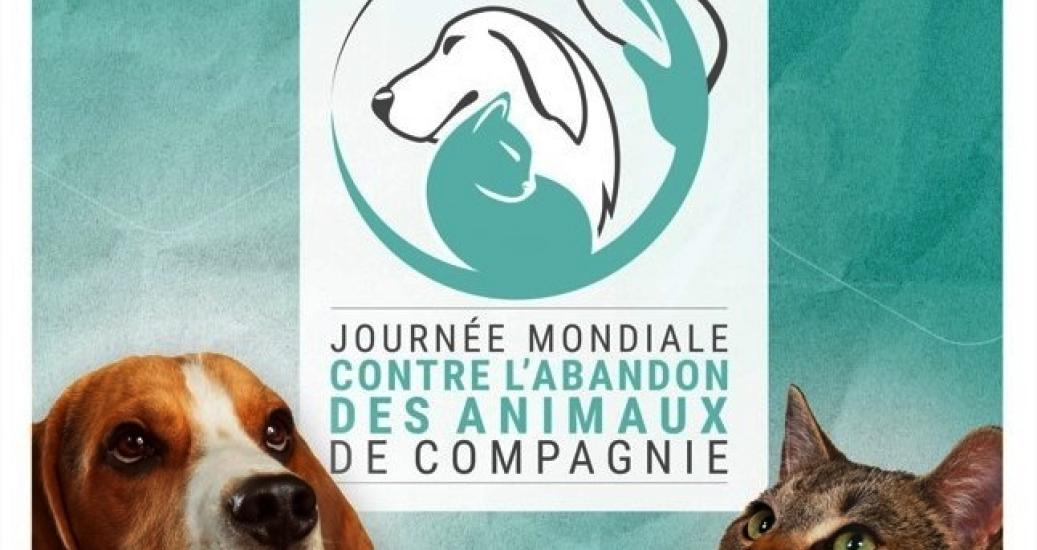 Journée contre l'abandon des animaux, entretien avec